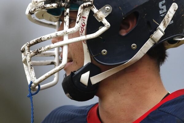 Liga Indonesia: Kompetisi yang Menyatu dengan Budaya