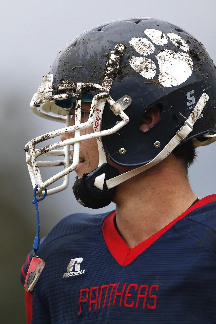 Liga Indonesia: Kompetisi yang Menyatu dengan Budaya