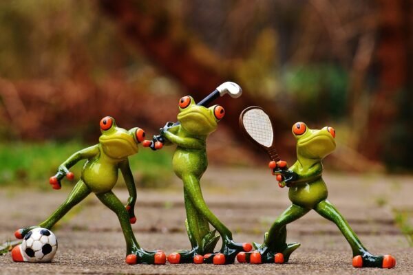 Pengaruh PSSI Gorontalo Terhadap Sepak Bola Lokal